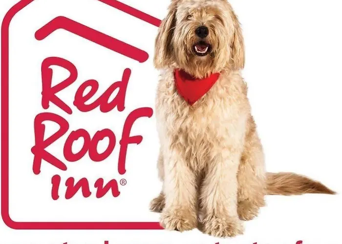 Red Roof North - I-17 At Bell Rd 2*